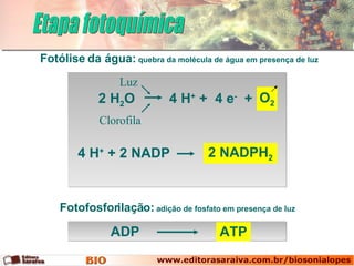 Etapa fotoquímica Fotólise da água:  quebra da molécula de água em presença de luz Fotofosforilação:  adição de fosfato em presença de luz ATP ADP 2 NADPH 2 4 H +  +  4 e -   + 2 H 2 O 4 H +  + 2 NADP Luz Clorofila O 2 
