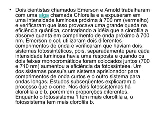 • Dois cientistas chamados Emerson e Arnold trabalharam
com uma alga chamada Chlorella e a expuseram em
uma intensidade luminosa próxima à 700 nm (vermelho)
e verificaram que isso provocava uma grande queda na
eficiência quântica, contrariando a idéia que a clorofila a
absorve quanta em comprimento de onda próximo à 700
nm. Emerson e col. utilizaram dois diferentes
comprimentos de onda e verificaram que haviam dois
sistemas fotossintéticos, pois, separadamente para cada
intensidade luminosa havia uma resposta e quando os
dois feixes monocromáticos foram colocados juntos (700
e 710 nm) aumentou a eficiência da fotossíntese. Um
dos sistemas possuía um sistema aprisionador para
comprimentos de onda curtos e o outro sistema para
ondas longas. Estudos subseqüentes explicaram o
processo que o corre. Nos dois fotossistemas há
clorofila a e b, porém em proporções diferentes.
Enquanto o fotossistema 1 tem mais clorolfila a, o
fotossistema tem mais clorofila b.
 