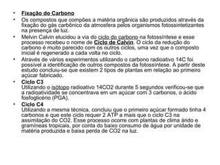 • Fixação do Carbono
• Os compostos que compões a matéria orgânica são produzidos através da
fixação do gás carbônico da atmosfera pelos organismos fotossintetizantes
na presença de luz.
• Melvin Calvin elucidou a via do ciclo do carbono na fotossíntese e esse
processo recebeu o nome de Ciclo de Calvin. O ciclo da redução do
carbono é muito parecido com os outros ciclos, uma vez que o composto
inicial é regenerado a cada volta no ciclo.
• Através de vários experimentos utilizando o carbono radioativo 14C foi
possível a identificação de outros compostos da fotossíntese. A partir deste
estudo concluiu-se que existem 2 tipos de plantas em relação ao primeiro
açúcar fabricado.
• Ciclo C3
Utilizando o isótopo radioativo 14CO2 durante 5 segundos verificou-se que
a radioatividade se concentrava em um açúcar com 3 carbonos, o ácido
fosfoglicério (PGA).
• Ciclo C4
Utilizando a mesma técnica, concluiu que o primeiro açúcar formado tinha 4
carbonos e que este ciclo requer 2 ATP a mais que o ciclo C3 na
assimilação do CO2. Esse processo ocorre com plantas de clima árido e
gramíneas tropicais, por conta do baixo consumo de água por unidade de
matéria produzida e baixa perda de CO2 na luz.
 