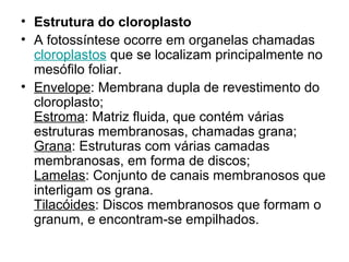 • Estrutura do cloroplasto
• A fotossíntese ocorre em organelas chamadas
cloroplastos que se localizam principalmente no
mesófilo foliar.
• Envelope: Membrana dupla de revestimento do
cloroplasto;
Estroma: Matriz fluida, que contém várias
estruturas membranosas, chamadas grana;
Grana: Estruturas com várias camadas
membranosas, em forma de discos;
Lamelas: Conjunto de canais membranosos que
interligam os grana.
Tilacóides: Discos membranosos que formam o
granum, e encontram-se empilhados.
 