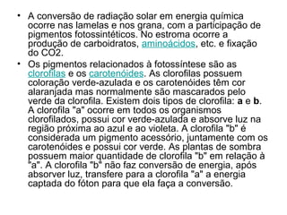 • A conversão de radiação solar em energia química
ocorre nas lamelas e nos grana, com a participação de
pigmentos fotossintéticos. No estroma ocorre a
produção de carboidratos, aminoácidos, etc. e fixação
do CO2.
• Os pigmentos relacionados à fotossíntese são as
clorofilas e os carotenóides. As clorofilas possuem
coloração verde-azulada e os carotenóides têm cor
alaranjada mas normalmente são mascarados pelo
verde da clorofila. Existem dois tipos de clorofila: a e b.
A clorofila "a" ocorre em todos os organismos
clorofilados, possui cor verde-azulada e absorve luz na
região próxima ao azul e ao violeta. A clorofila "b" é
considerada um pigmento acessório, juntamente com os
carotenóides e possui cor verde. As plantas de sombra
possuem maior quantidade de clorofila "b" em relação à
"a". A clorofila "b" não faz conversão de energia, após
absorver luz, transfere para a clorofila "a" a energia
captada do fóton para que ela faça a conversão.
 