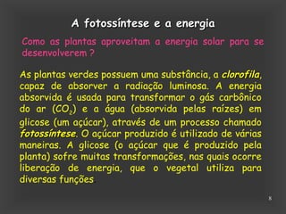 Fotossintese | PPT