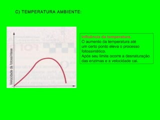 C) TEMPERATURA AMBIENTE:
Influência da temperatura.
O aumento da temperatura até
um certo ponto eleva o processo
fotossintético.
Após seu limite ocorre a desnaturação
das enzimas e a velocidade cai.
 