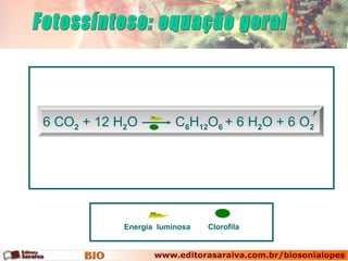 ClorofilaEnergia luminosa
6 CO2 + 12 H2O C6H12O6 + 6 H2O + 6 O2