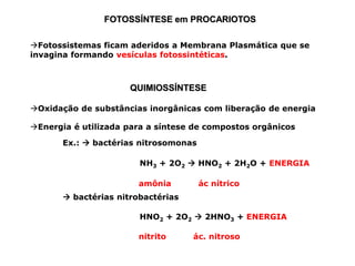 FOTOSSÍNTESE em PROCARIOTOS
Fotossistemas ficam aderidos a Membrana Plasmática que se
invagina formando vesículas fotossintéticas.
QUIMIOSSÍNTESE
Oxidação de substâncias inorgânicas com liberação de energia
Energia é utilizada para a síntese de compostos orgânicos
Ex.:  bactérias nitrosomonas
NH3 + 2O2  HNO2 + 2H2O + ENERGIA
amônia ác nítrico
 bactérias nitrobactérias
HNO2 + 2O2  2HNO3 + ENERGIA
nitrito ác. nitroso
 