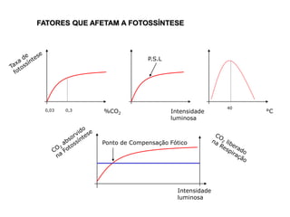 %CO2 Intensidade
luminosa
°C
0,03 0,3
P.S.L
40
Intensidade
luminosa
Ponto de Compensação Fótico
FATORES QUE AFETAM A FOTOSSÍNTESE
 