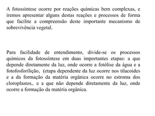 A fotossíntese ocorre por reações químicas bem complexas, e
iremos apresentar alguns destas reações e processos de forma
que facilite a compreensão deste importante mecanismo de
sobrevivência vegetal.
Para facilidade de entendimento, divide-se os processos
químicos da fotossíntese em duas importantes etapas: a que
depende diretamente da luz, onde ocorre a fotólise da água e a
fotofosforilição, (etapa dependente da luz ocorre nos tilacoides
e a da formação da matéria orgânica ocorre no estroma dos
cloroplastos,. e a que não depende diretamente da luz, onde
ocorre a formação da matéria orgânica.
 