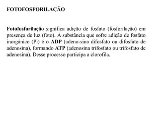 FOTOFOSFORILAÇÃO
Fotofosforilação significa adição de fosfato (fosforilação) em
presença de luz (foto). A substância que sofre adição de fosfato
inorgânico (Pi) é o ADP (adeno-sina difosfato ou difosfato de
adenosina), formando ATP (adenosina trifosfato ou trifosfato de
adenosina). Desse processo participa a clorofila.
 