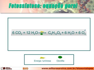 6 CO2 + 12 H2O          C6H12O6 + 6 H2O + 6 O2




           Energia luminosa   Clorofila
 