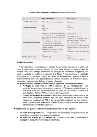 Quadro - Mecanismo da fotossíntese e sua localização




   2 - Quimiossíntese

      A quimiossíntese é um processo de síntese de compostos orgânicos que utiliza, tal
   como a fotossíntese , o dióxido de carbono como fonte de carbono, mas, em vez de
   energia solar, usa a energia proveniente da oxidação de substâncias inorgânicas tais
   como a amónia, os nitritos, o enxofre e o ferro. A quimiossíntese é realizada
   principalmente por bactérias, entre as quais as ferrobactérias, as sulfobactérias e
   as nitrobactérias. Cada uma dessas bactérias utiliza a energia de um mineral que oxida,
   compostos respetivamente de ferro, enxofre e nitrogénio.
   Na quimiossíntese, tal como na fotossíntese, é possível distinguir duas fases:
       ☺ Produção de moléculas de ATP e redução de um transportador – da
           oxidação de compostos minerais (por exemplo H2S) libertam-se eletrões (e-) e
           protões (H+) que vão ser transportados ao longo de uma cadeia, ocorrendo a
           fosforilação de ADP em ATP e a redução do transportador.
       ☺ Fixação do dióxido de carbono – esta fase corresponde à fase química da
           fotossíntese, ocorrendo também aqui um ciclo idêntico ao de Calvin, onde
           intervem as moléculas de ATP e do transportador produzido na fase anterior.
           Neste ciclo verifica-se a fixação do dióxido de carbono que é reduzido, permitindo
           a formação de substâncias orgânicas.

A fotossíntese e a quimiossíntese diferem basicamente em dois aspetos:

    Na fonte de energia utilizada – energia solar (fotossíntese) e energia resultante da
     oxidação de compostos minerais (quimiossíntese);
    Na fonte de protões (H+) e eletrões (e-) – molécula de H2O (fotossíntese) e
     oxidação de compostos minerais (quimiossíntese).
 