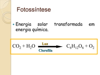 Fotossíntese

   Energia solar          transformada   em
    energia química.


                 Luz
CO2 + H2O                       C6H12O6 + O2
               Clorofila
 