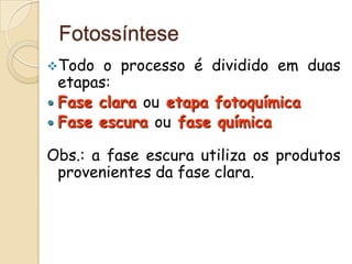 Fotossíntese
Todo   o processo é dividido em duas
  etapas:
 Fase clara ou etapa fotoquímica
 Fase escura ou fase química

Obs.: a fase escura utiliza os produtos
 provenientes da fase clara.
 