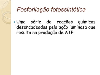 Fosforilação fotossintética
   Uma série de reações químicas
    desencadeadas pela ação luminosa que
    resulta na produção de ATP.
 