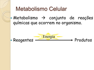 Metabolismo Celular
   Metabolismo  conjunto de reações
    químicas que ocorrem no organismo.


                Energia
   Reagentes                 Produtos
 