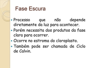 Fase Escura
 Processo      que    não     depende
  diretamente da luz para acontecer.
 Porém necessita dos produtos da fase
  clara para ocorrer.
 Ocorre no estroma do cloroplasto.
 Também pode ser chamada de Ciclo
  de Calvin.
 