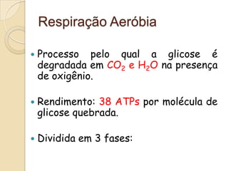 Respiração Aeróbia

   Processo pelo qual a glicose é
    degradada em CO2 e H2O na presença
    de oxigênio.

   Rendimento: 38 ATPs por molécula de
    glicose quebrada.

   Dividida em 3 fases:
 