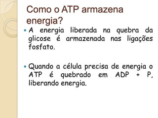 Como o ATP armazena
energia?
   A energia liberada na quebra da
    glicose é armazenada nas ligações
    fosfato.

   Quando a célula precisa de energia o
    ATP é quebrado em ADP + P,
    liberando energia.
 