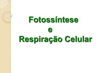 Fotossíntese
       e
Respiração Celular
 