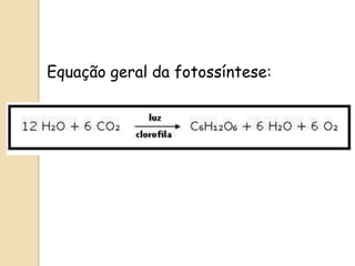 Equação geral da fotossíntese:
 