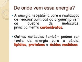 De onde vem essa energia?
   A energia necessária para a realização
    de reações químicas do organismo vem
    da      quebra      de      moléculas,
    principalmente carboidratos.

   Outras moléculas também podem ser
    fonte de energia para a célula:
    lipídios, proteínas e ácidos nucléicos.
 