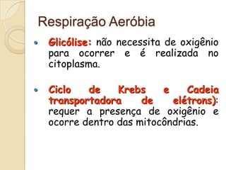 Respiração Aeróbia
   Glicólise: não necessita de oxigênio
    para ocorrer e é realizada no
    citoplasma.

   Ciclo   de    Krebs    e    Cadeia
    transportadora     de    elétrons):
    requer a presença de oxigênio e
    ocorre dentro das mitocôndrias.
 
