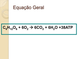 Equação Geral



C6H12O6 + 6O2  6CO2 + 6H2O +38ATP
 
