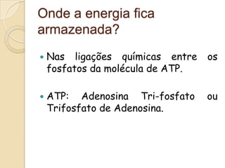 Onde a energia fica
armazenada?
   Nas ligações químicas entre    os
    fosfatos da molécula de ATP.

   ATP: Adenosina Tri-fosfato     ou
    Trifosfato de Adenosina.
 