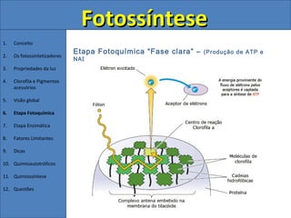 Fotossíntese
1.   Conceito
                              Etapa Fotoquímica “Fase clara” –   (Produção de ATP e
2.   Os fotossintetizadores
                              NADPH 2 )
3.   Propriedades da luz

4.   Clorofila e Pigmentos
     acessórios

5.   Visão global

6.   Etapa Fotoquímica

7.   Etapa Enzimática

8.   Fatores Limitantes

9.   Dicas

10. Quimioautotróficos

11. Quimiossíntese

12. Questões
 