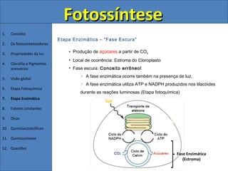 Fotossíntese
1.   Conceito
                              Etapa Enzimática – “Fase Escura”
2.   Os fotossintetizadores

3.   Propriedades da luz          • Produção de açúcares a partir de CO2
                                  • Local de ocorrência: Estroma do Cloroplasto
4.   Clorofila e Pigmentos
     acessórios                   • Fase escura: Conceito errôneo!
                                          A fase enzimática ocorre também na presença de luz.
5.   Visão global
                                          A fase enzimática utiliza ATP e NADPH produzidos nos tilacóides
6.   Etapa Fotoquímica
                                       durante as reações luminosas (Etapa fotoquímica)
7.   Etapa Enzimática
                                                   Luz
8.   Fatores Limitantes

9.   Dicas

10. Quimioautotróficos

11. Quimiossíntese

12. Questões
                                                                                      Fase Enzimática
                                                                                         (Estroma)
 