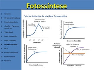 Fotossíntese
1.   Conceito
                                              Fatores limitantes da atividade fotossintética
2.   Os fotossintetizadores
                                                                                    Valor ótimo para

                              Taxa relativa de fotossíntese




                                                                                                                               Taxa relativa de fotossíntese
3.   Propriedades da luz                                                           atuação da Rubsico
                                                                                                                                                                Saturação das
                                                                          Intensidade                                                                          enzimas rubisco
4.   Clorofila e Pigmentos                                               luminosa alta
                                                                                                Desnaturação
     acessórios                                                                                  de enzimas

5.   Visão global

6.   Etapa Fotoquímica

7.   Etapa Enzimática                                                      10˚    20˚    40˚   60˚
                                                                                                                                                                   Concentração de CO2
                                                                                 Temperatura
8.   Fatores Limitantes                                                                                          Ponto de                                         Ponto de saturação
                                         Taxa relativa de fotossíntese




                                                                                                               compensação                                            luminosa
                                                                         Saturação dos                           luminoso
9.   Dicas




                                                                                                                      consumida na fotossíntese
                                                                         fotossistemas                                                                                           Taxa de fotossíntese




                                                                                                                         Quantidade de CO2
10. Quimioautotróficos
                                                                                                                                                                           Taxa de respiração
11. Quimiossíntese

12. Questões

                                                                           Intensidade luminosa                                                                   Intensidade Luminosa
 
