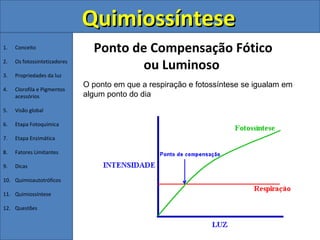 Quimiossíntese
1.   Conceito                   Ponto de Compensação Fótico
2.   Os fotossintetizadores
                                        ou Luminoso
3.   Propriedades da luz
                              O ponto em que a respiração e fotossíntese se igualam em
4.   Clorofila e Pigmentos
     acessórios               algum ponto do dia
5.   Visão global

6.   Etapa Fotoquímica

7.   Etapa Enzimática

8.   Fatores Limitantes

9.   Dicas

10. Quimioautotróficos

11. Quimiossíntese

12. Questões
 