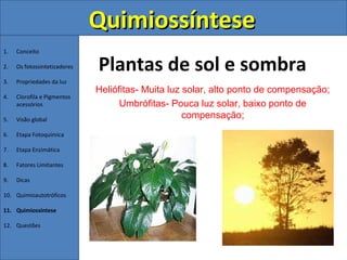 Quimiossíntese
1.   Conceito

2.   Os fotossintetizadores   Plantas de sol e sombra
3.   Propriedades da luz
                              Heliófitas- Muita luz solar, alto ponto de compensação;
4.   Clorofila e Pigmentos
     acessórios                     Umbrófitas- Pouca luz solar, baixo ponto de
5.   Visão global
                                                    compensação;
6.   Etapa Fotoquímica

7.   Etapa Enzimática

8.   Fatores Limitantes

9.   Dicas

10. Quimioautotróficos

11. Quimiossíntese

12. Questões
 