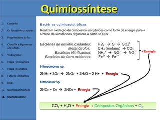 Quimiossíntese
1.   Conceito                 Bactérias quimioautotróficas
2.   Os fotossintetizadores   Realizam oxidação de compostos inorgânicos como fonte de energia para a
                              síntese de substâncias orgânicas a partir do CO 2
3.   Propriedades da luz

4.   Clorofila e Pigmentos
     acessórios
                                                                                                  + Energia
5.   Visão global

6.   Etapa Fotoquímica
                              Nitrosomonas sp.
7.   Etapa Enzimática                                _
                              2NH3 + 3O2  2NO2 + 2H2O + 2 H+ + Energia
8.   Fatores Limitantes

9.   Dicas                    Nitrobacter sp.
                                   _             _
10. Quimioautotróficos        2NO2 + O2  2NO3 + Energia
11. Quimiossíntese


                                      CO2 + H2O + Energia → Compostos Orgânicos + O2
 