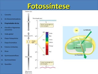 Fotossíntese
1.   Conceito

2.   Os fotossintetizadores

3.   Propriedades da luz

4.   Clorofila e Pigmentos
     acessórios

5.   Visão global

6.   Etapa Fotoquímica

7.   Etapa Enzimática

8.   Fatores Limitantes

9.   Dicas

10. Quimioautotróficos

11. Quimiossíntese

12. Questões
 