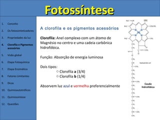 Fotossíntese
1.   Conceito
                              A clorofila e os pigmentos acessórios
2.   Os fotossintetizadores

3.   Propriedades da luz      Clorofila: Anel complexo com um átomo de
4.   Clorofila e Pigmentos
                              Magnésio no centro e uma cadeia carbônica
     acessórios               hidrofóbica.
5.   Visão global
                              Função: Absorção de energia luminosa
6.   Etapa Fotoquímica
                              Dois tipos:
7.   Etapa Enzimática
                                        o Clorofila a (3/4)
8.   Fatores Limitantes                 o Clorofila b (1/4)
9.   Dicas                                                                        Cauda
                              Absorvem luz azul e vermelha preferencialmente   hidrofóbica
10. Quimioautotróficos

11. Quimiossíntese

12. Questões
 