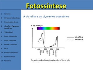 Fotossíntese
1.   Conceito
                              A clorofila e os pigmentos acessórios
2.   Os fotossintetizadores

3.   Propriedades da luz

4.   Clorofila e Pigmentos
     acessórios

5.   Visão global

6.   Etapa Fotoquímica

7.   Etapa Enzimática

8.   Fatores Limitantes

9.   Dicas

10. Quimioautotróficos

11. Quimiossíntese

12. Questões
 