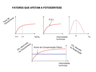Taxa de fotossíntese %CO 2 Intensidade luminosa °C FATORES QUE AFETAM A FOTOSSÍNTESE 0,03  0,3 P.S.L 40 CO 2  absorvido na Fotossíntese Intensidade luminosa CO 2  liberado  na Respiração Ponto de Compensação Fótico 