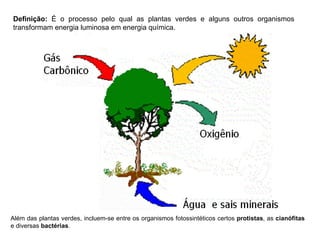 Definição:  É o processo pelo qual as plantas verdes e alguns outros organismos transformam energia luminosa em energia química.  Além das plantas verdes, incluem-se entre os organismos fotossintéticos certos  protistas , as  cianófitas   e diversas  bactérias . 