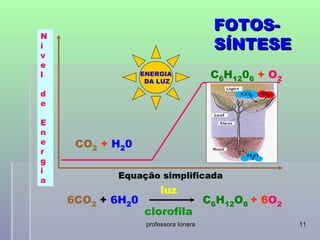 FOTOS-
N
i                                       SÍNTESE
v
e
l                 ENERGIA               C6H1206 + O2
                   DA LUZ

d
e

E
n
e    CO2 + H20
r
g
i
a
           Equação simplificada
                       luz
    6CO2 + 6H20                        C6H12O6 + 6O2
                  clorofila
                   professora Ionara                   11
 