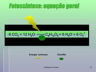 6 CO2 + 12 H2O          C6H12O6 + 6 H2O + 6 O2




          Energia luminosa           Clorofila




                      professora Ionara          12
 