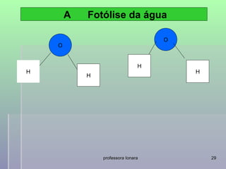 A   Fotólise da água

                                    O
    O


                                H
H                                       H
            H




                professora Ionara           29
 