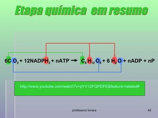 6C O2 + 12NADPH2 + nATP             C6 H12 O6 + 6 H2 O + nADP + nP



     http://www.youtube.com/watch?v=pYV12FQPDFE&feature=related#




                              professora Ionara                    45
 