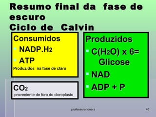 Resumo final da fase de
escuro
Ciclo de Calvin
 Consumidos                  Produzidos
  NADP.H2                    C(H2O) x 6=
  ATP                          Glicose
 Produzidos na fase de claro
                              NAD
 CO2                          ADP + P
 proveniente de fora do cloroplasto


                                 professora Ionara   46
 