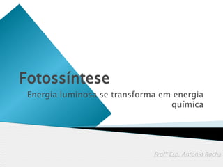 Fotossíntese
 Energia luminosa se transforma em energia
                                  química




                              Profº Esp. Antonio Rocha
 