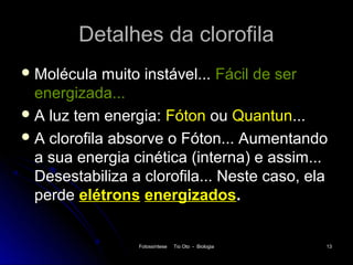 Detalhes da clorofila
 Molécula   muito instável... Fácil de ser
  energizada...
 A luz tem energia: Fóton ou Quantun...
 A clorofila absorve o Fóton... Aumentando
  a sua energia cinética (interna) e assim...
  Desestabiliza a clorofila... Neste caso, ela
  perde elétrons energizados.


                 Fotossíntese   Tio Oto - Biologia   13
 