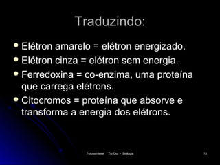 Traduzindo:
 Elétron amarelo = elétron energizado.
 Elétron cinza = elétron sem energia.
 Ferredoxina = co-enzima, uma proteína
  que carrega elétrons.
 Citocromos = proteína que absorve e
  transforma a energia dos elétrons.



               Fotossíntese   Tio Oto - Biologia   18
 