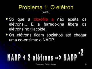 Problema 1: O elétron
                      ( cont. )

 Só   que a clorofila a não aceita os
  elétrons... E a ferredoxina libera os
  elétrons no tilacóide.
 Os elétrons ficam sozinhos até chegar
  uma co-enzima: o NADP.




              Fotossíntese   Tio Oto - Biologia   24
 