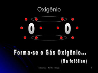 Oxigênio




Fotossíntese   Tio Oto - Biologia   29
 