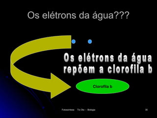Os elétrons da água???




                                     Clorofila b




       Fotossíntese   Tio Oto - Biologia           30
 