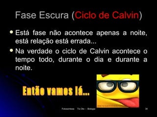 Fase Escura (Ciclo de Calvin)
 Está   fase não acontece apenas a noite,
  está relação está errada...
 Na verdade o ciclo de Calvin acontece o
  tempo todo, durante o dia e durante a
  noite.




               Fotossíntese   Tio Oto - Biologia   34
 